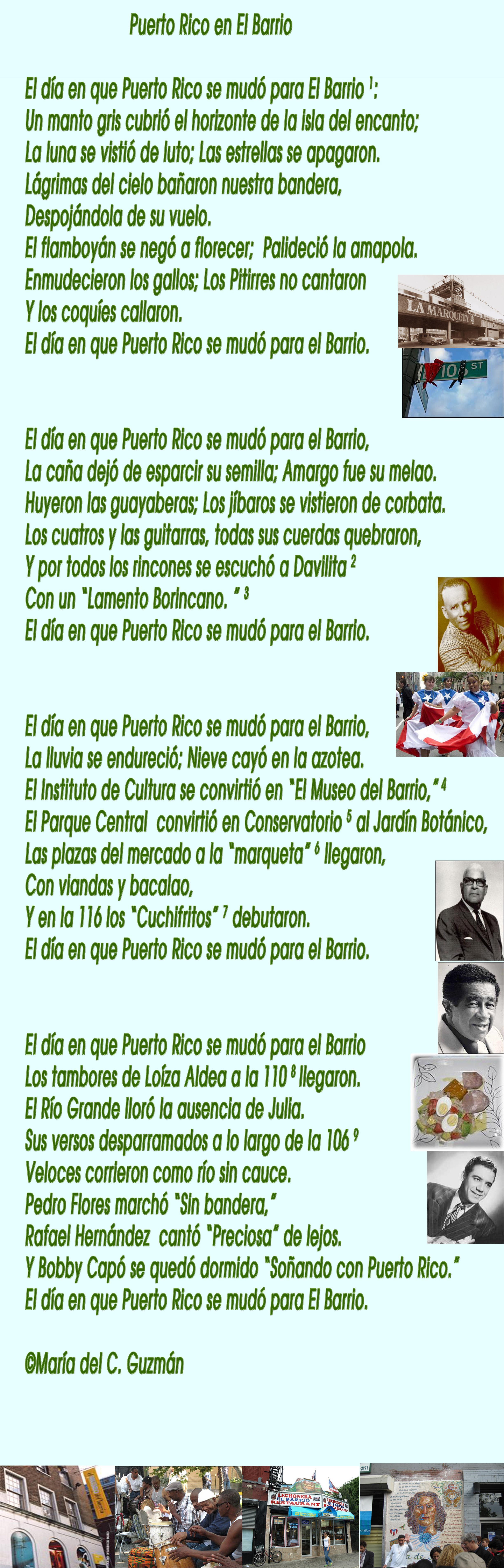 Puerto Rico en el Barrio / María del C. Guzmán