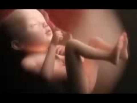 El lienzo / Marinín Torregrosa Sánchez