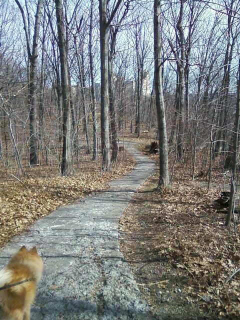 Destino / por Maileen Torres Rodríguez