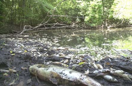 Global warming / Josué Santiago de la Cruz