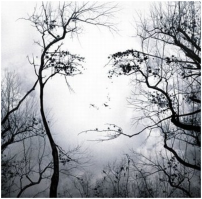 ¿Quién soy? / María del Carmen Guzmán