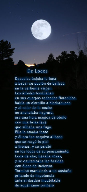 De Locos / Gloria Gayoso