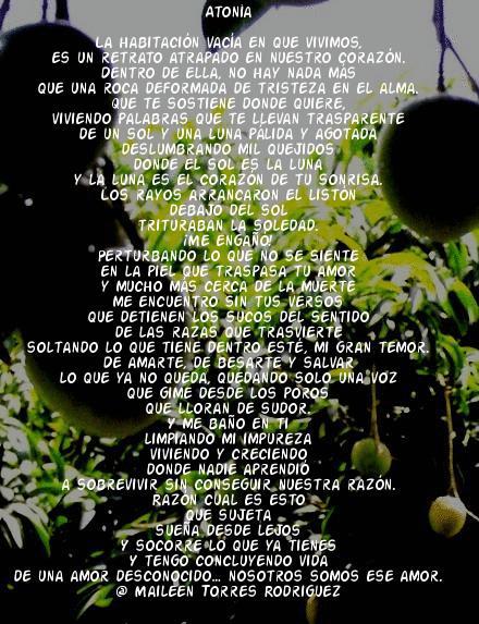 Atonía / Maileen Torres Rodríguez