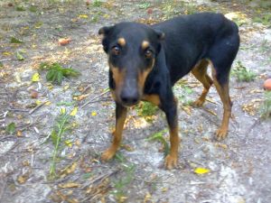 Tuco / por Edwin Ferrer