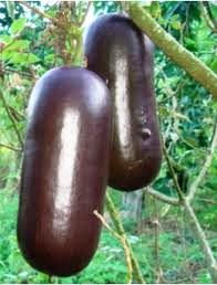 Mi respeto para usted señor Angolo / María del Carmen Guzmán