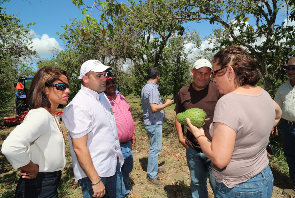 Rescatan fincas para la producción agrícola en Salinas