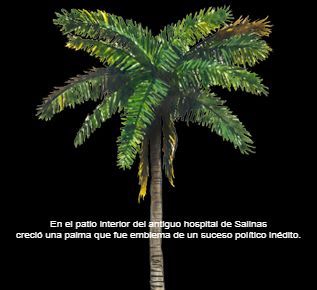 Testimonios: Sucesos y personajes de la política salinense del siglo 20